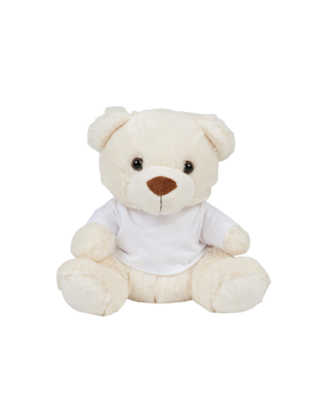 Ours en peluche